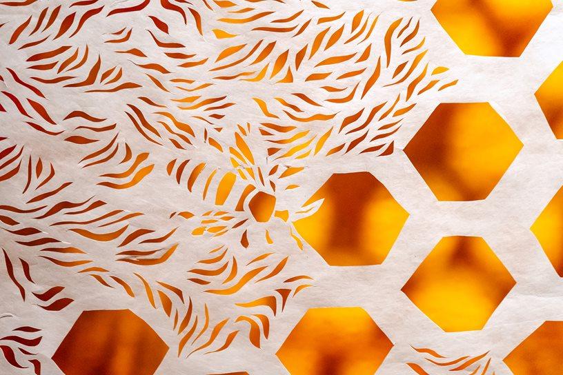 手工剪裁的白色特卫普的详细视图，上面有橙色的蜜蜂和蜂巢图案